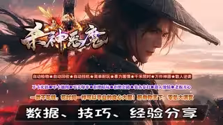 战士VS道士：数据、技巧、经验分享