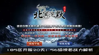 传奇sf道士职业全解析：技能优势、成长曲线、实战战报，185区沙城备战指南