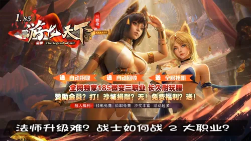 传奇私服职业攻略：法师升级全解析，战士对战技巧